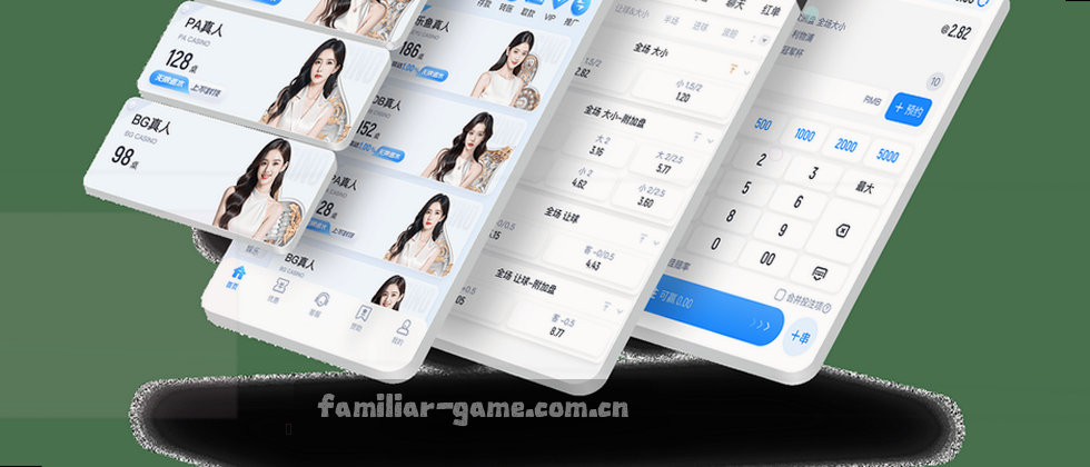 隐私保护与数据说明政策
